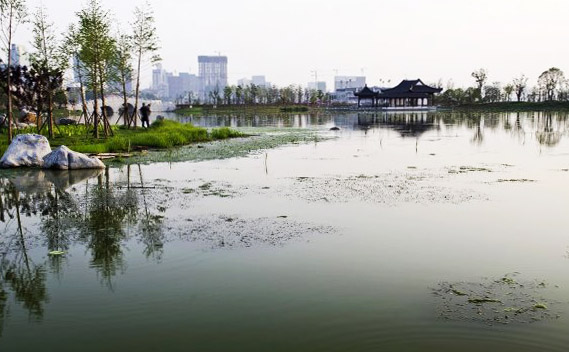 武昌沙湖公園生態(tài)濱水設(shè)計(jì)