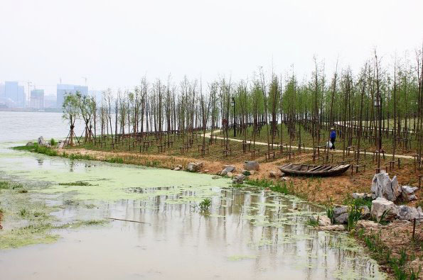 武昌沙湖公園生態(tài)濱水設(shè)計(jì)