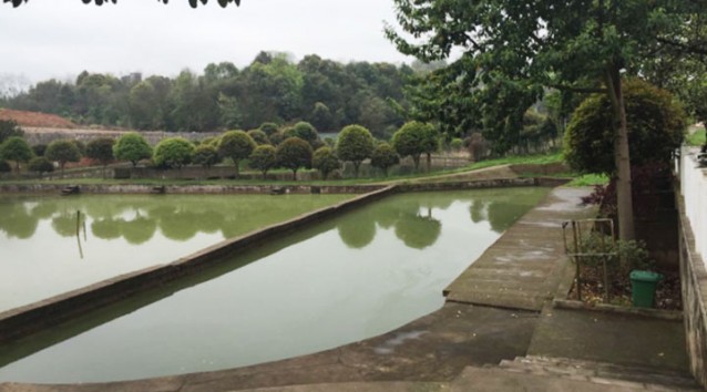 長沙縣新龍鳳山莊