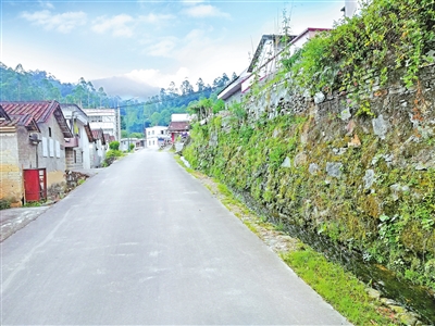 云浮新興縣六祖鎮(zhèn)龍山塘村奮力建設(shè)美麗鄉(xiāng)村