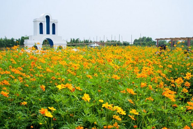 瑪琪雅朵花海餐廳