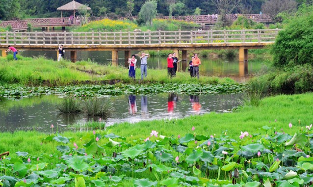 長汀三洲濕地灣生態(tài)農(nóng)莊