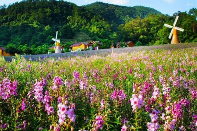 永泰幸福莊園