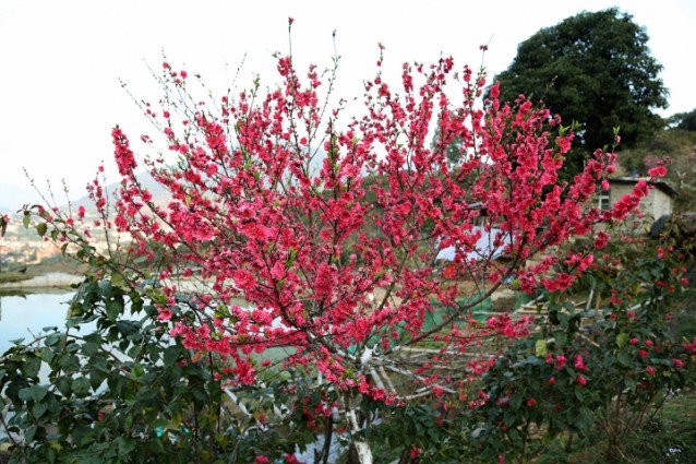 海峽藍(lán)天生態(tài)莊園