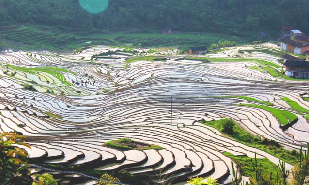 坤雅生態(tài)旅游度假村