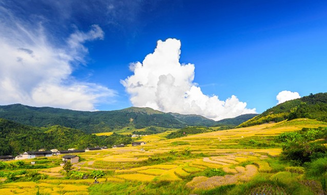 坤雅生態(tài)旅游度假村