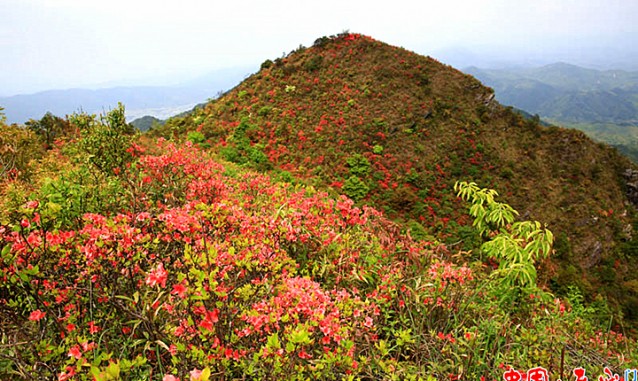 長(zhǎng)汀松毛嶺紅色山莊