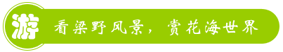 武平梁野軒森林人家