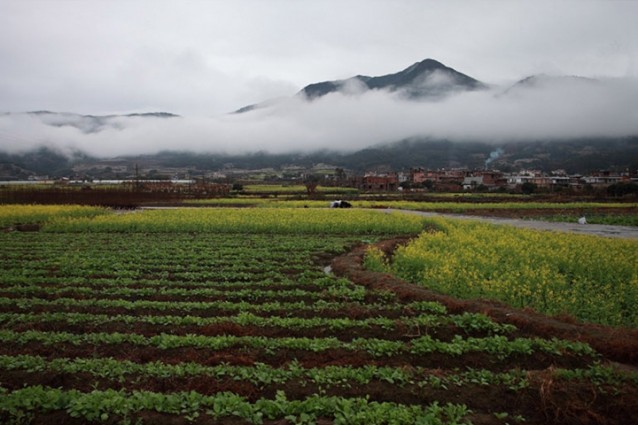 古山重花田社民宿