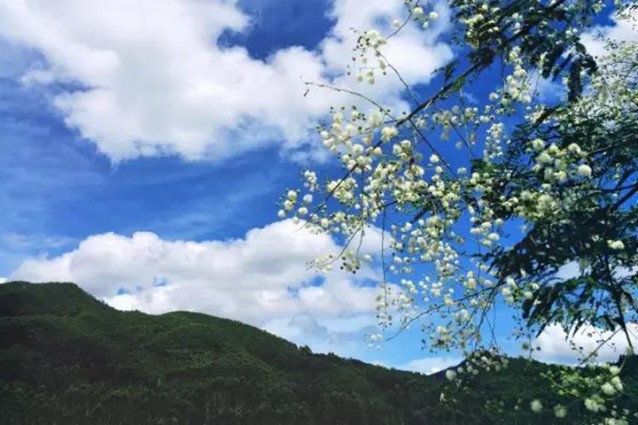 古山重花田社民宿