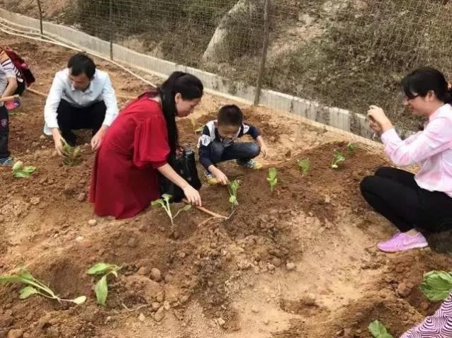 漳州市童游灣方圃農(nóng)莊