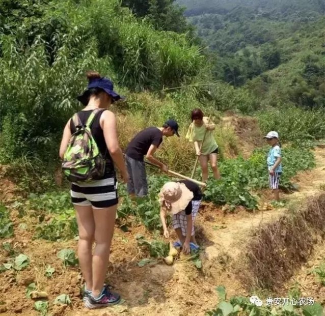 貴安開心農(nóng)場