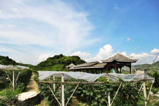 青巖達夯青馬生態(tài)園