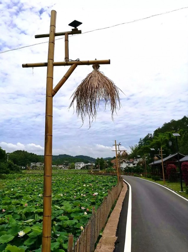 聞香識西河，大埔鄉(xiāng)村變“香村”