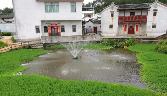 聞香識西河，大埔鄉(xiāng)村變“香村”