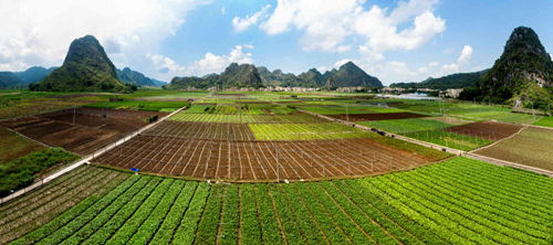 羅定以“黨建+生態(tài)文明建設(shè)”模式推進(jìn)生態(tài)振興 讓農(nóng)民賺上“生態(tài)錢”