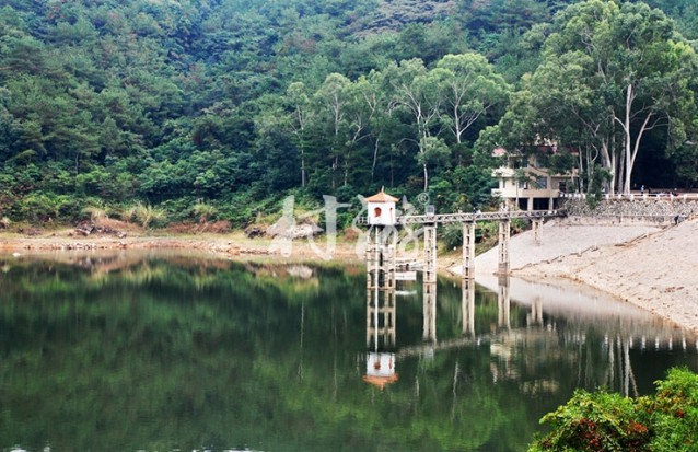 麗野香棧