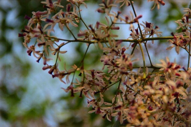 長汀群龍山莊