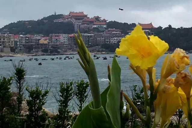 湄洲島星海灣海景民宿