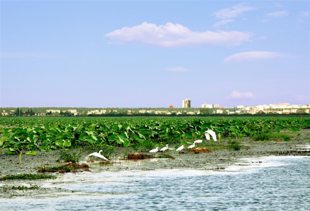 湖南大湖湘鶴度假村