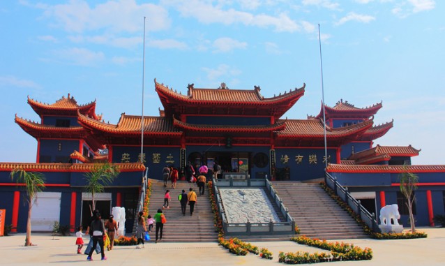 奉新唐耕香生態(tài)果園--藍(lán)莓采摘