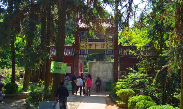 奉新唐耕香生態(tài)果園--藍(lán)莓采摘