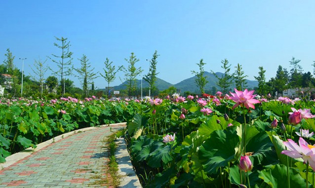 紫薇山莊