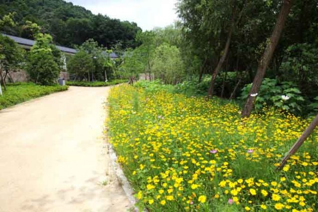 杭州江洋畈生態(tài)公園