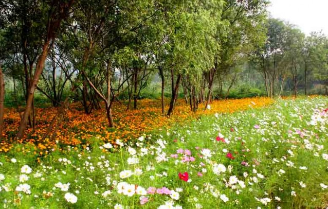 杭州江洋畈生態(tài)公園