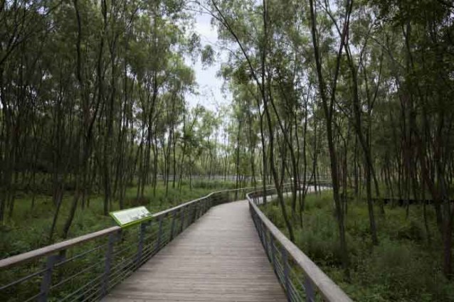 杭州江洋畈生態(tài)公園