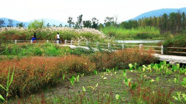 無錫長廣溪國家濕地公園