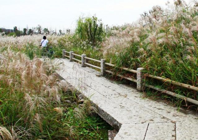 無錫長廣溪國家濕地公園