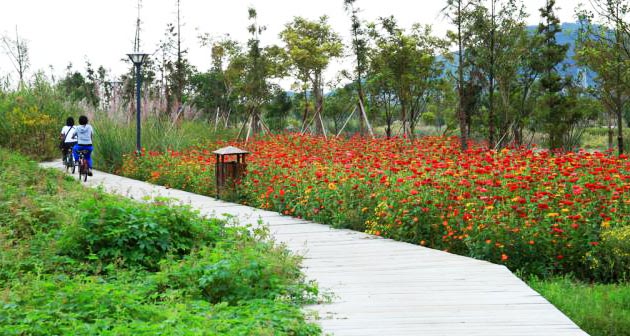 無錫長廣溪國家濕地公園