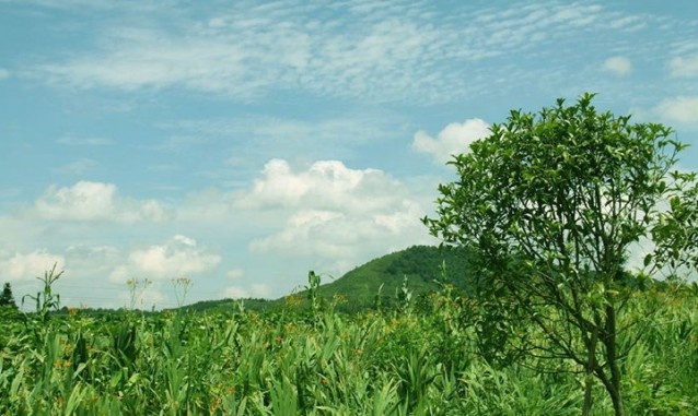 分宜楓塘灣生態(tài)度假山莊