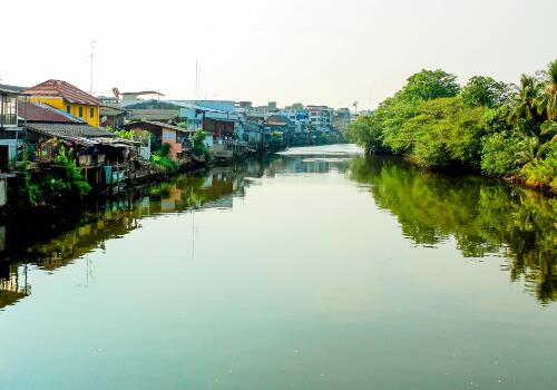 中國鄉(xiāng)村旅游發(fā)展背景和現(xiàn)狀是怎樣的？（附成功案例）