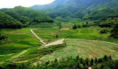 農(nóng)旅融合規(guī)劃項目:“香菇尋祖”主題鄉(xiāng)村旅游線路