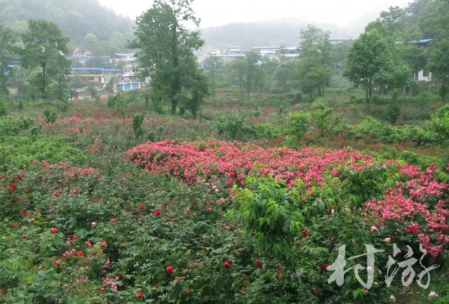 花溪水庫秀水閣農(nóng)莊