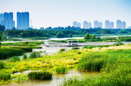 哈爾濱文化中心濕地公園