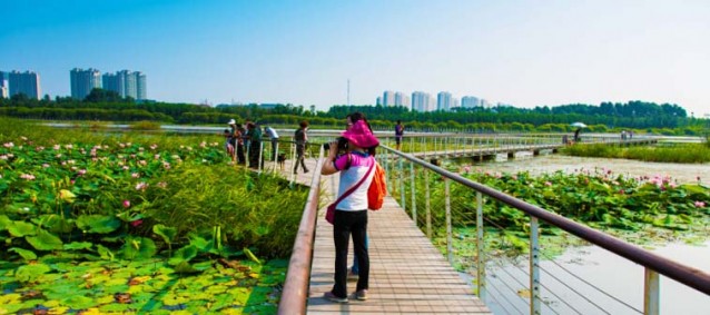 哈爾濱文化中心濕地公園