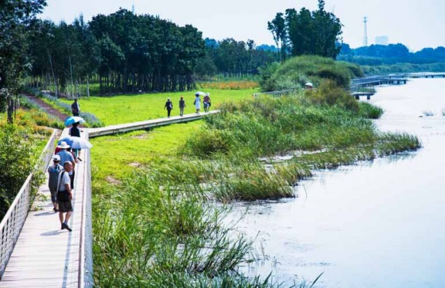 哈爾濱文化中心濕地公園