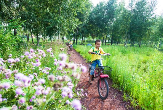 哈爾濱文化中心濕地公園