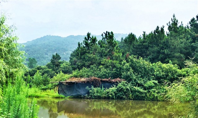 慈云居生態(tài)養(yǎng)生園