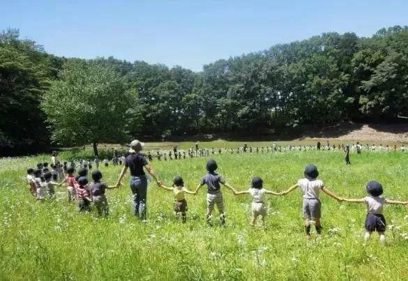 案例:3畝地上成功打造的農(nóng)業(yè)教育幼兒園