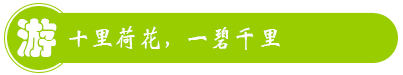 南平政和古元森林人家