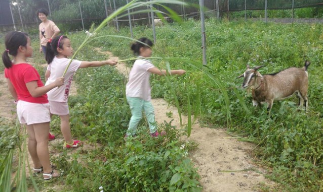 竹壩芳都觀光果園