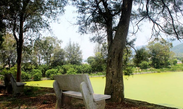 竹壩芳都觀光果園