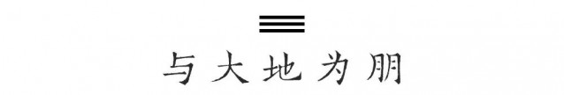 鄉(xiāng)村鄉(xiāng)村民宿設(shè)計(jì)：居住之美，生活之妙