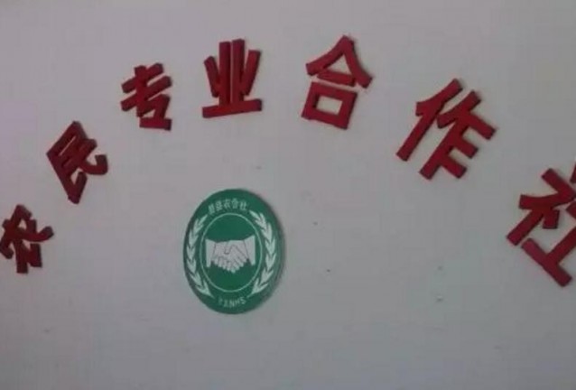 2019年中央扶持農(nóng)民合作社發(fā)展補(bǔ)助項(xiàng)目申報(bào)細(xì)則出爐！