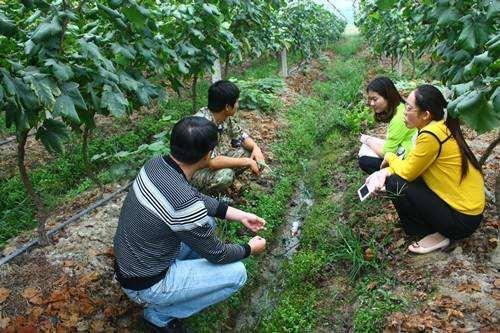 農(nóng)民注意，這個證件比宅基地更重要，家家都該有，四類人拿不到