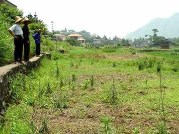 農(nóng)民注意，這個證件比宅基地更重要，家家都該有，四類人拿不到